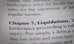 printed page on Capter 7 bankruptcy