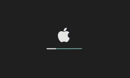 Apple start screen black background